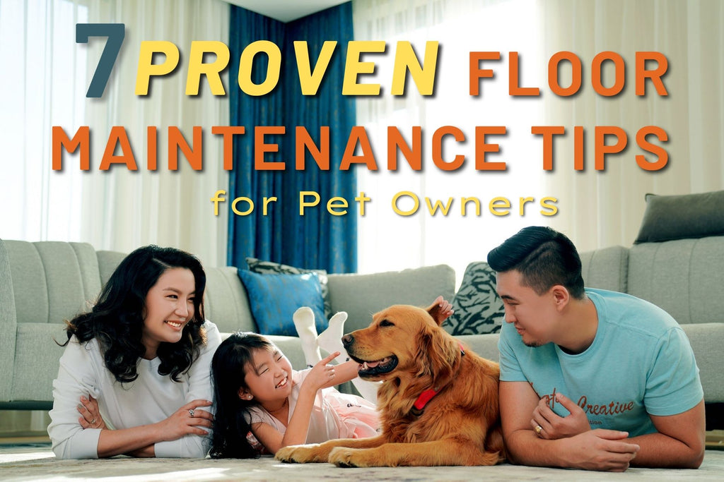7 Proven Floor Maintenance Tips for Pet Owners
